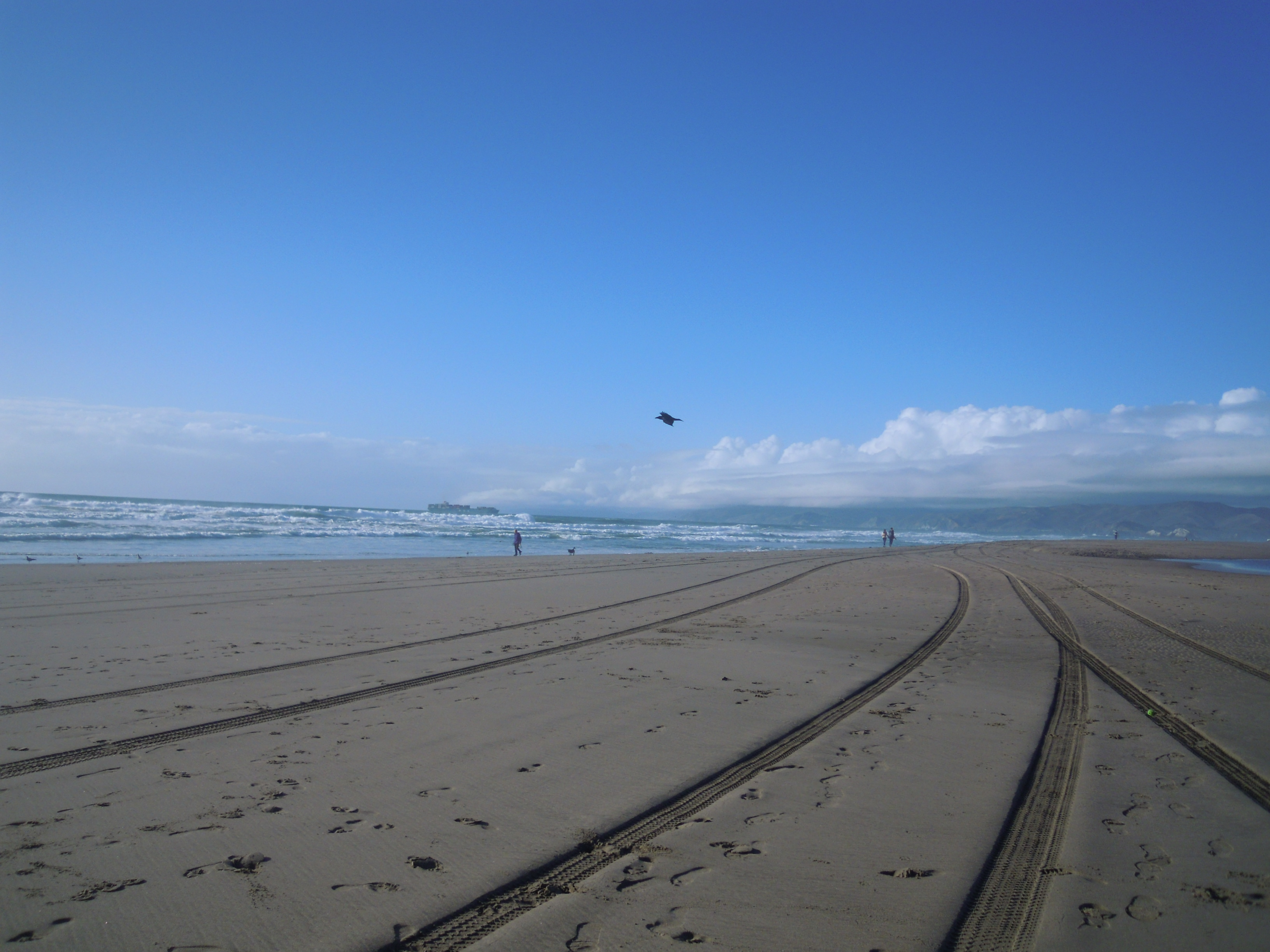 track on thr ocean edge 
