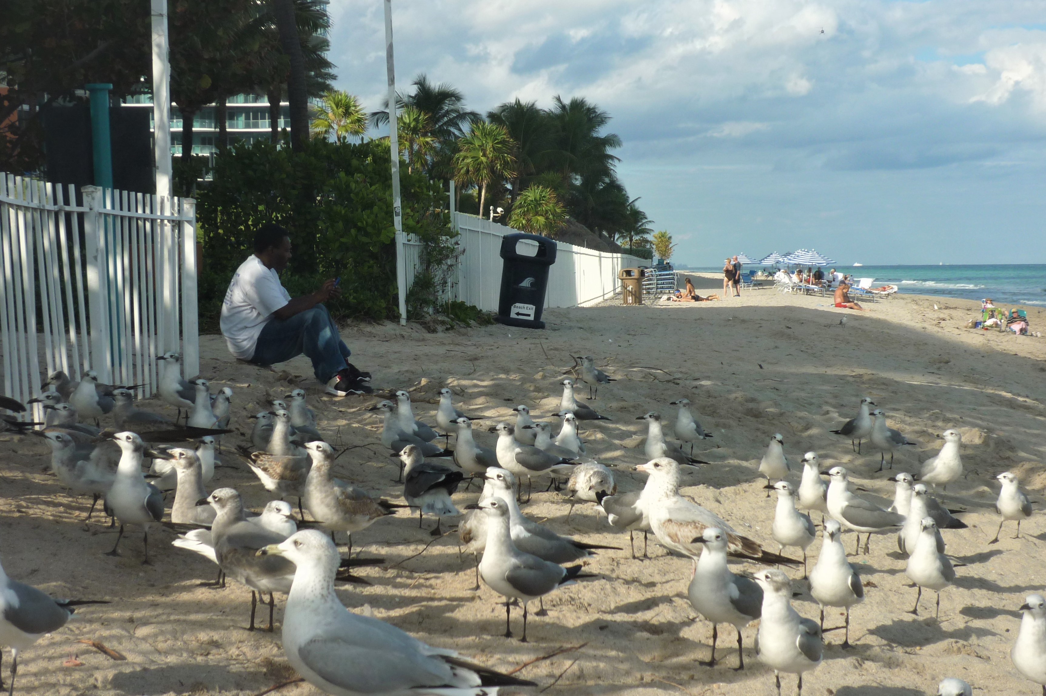 maymi-beach