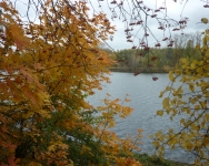 autumn 19