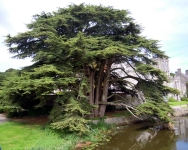 DSCN1750