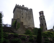 DSCN1786