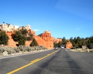 arizona (64)