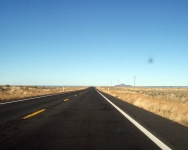 arizona (202)