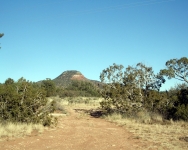arizona (203)