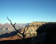 arizona (205)