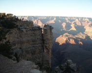 arizona (209)