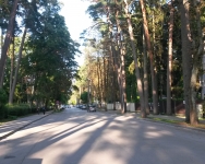Юрмала. Дзинтари