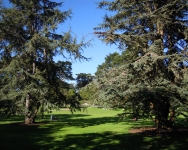 DSCN3766
