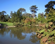 DSCN3767