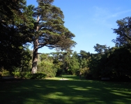 DSCN3768