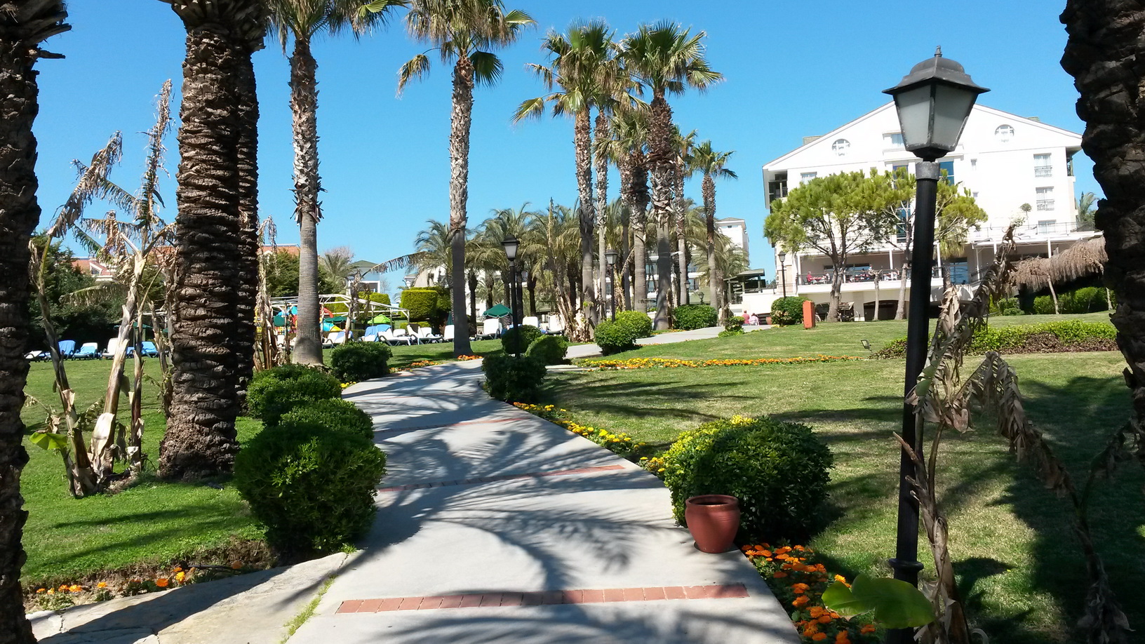 Alva Donna Beach Resort 